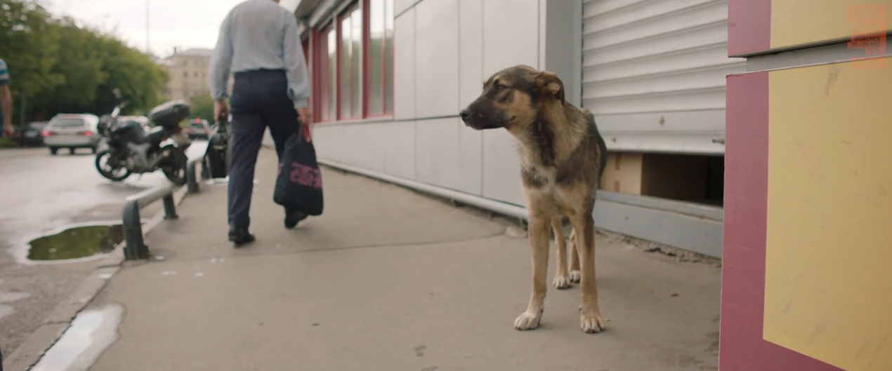«Space Dogs»: Doku über Moskauer Straßenköter und ihre
raumfahrenden Vorfahren
